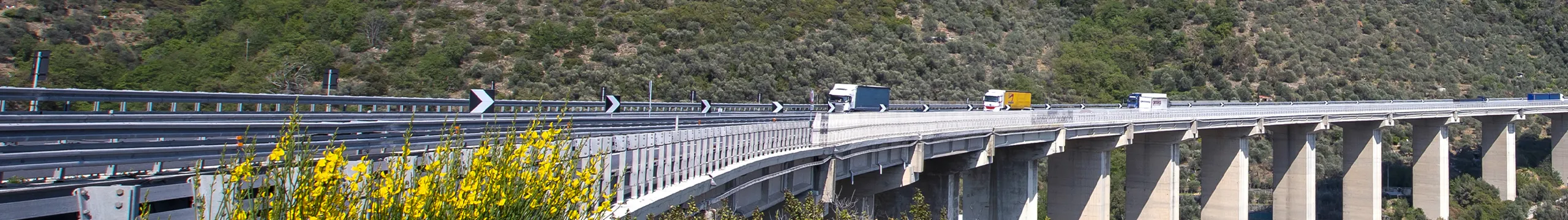 Preavvisi di transito, Portale Trasporti Eccezionali