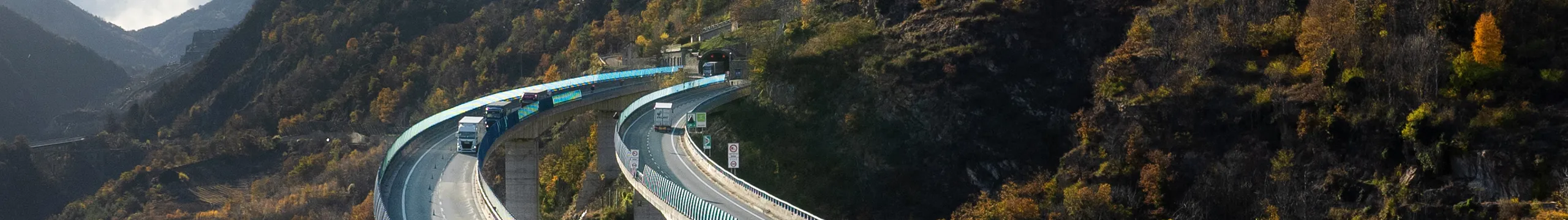 Servizi, Portale Trasporti Eccezionali